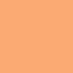画像3: フューズビーズ ミドル（5mm）クリームオレンジ 1000粒 R50 (3)